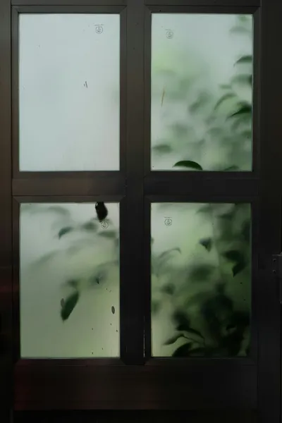 A frosted glass door panel with green foliage visible only as soft, out-of-focus shapes and color through it