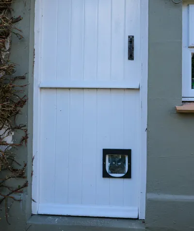 A black cat looking through an installed cat flap in a white door